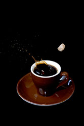 barista barista