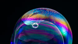 bubbles bubbles