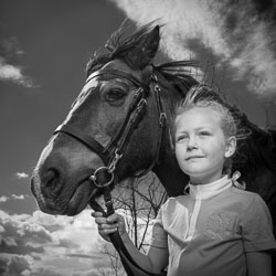 horses2 horses2