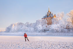 IceSkating IceSkating