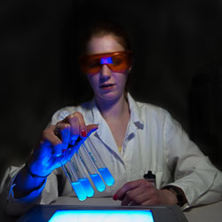 lab_portfolio lab_portfolio