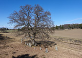 Lillängen Lillängen