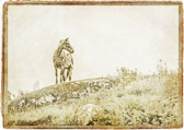 Surmulen_homepage Surmulen_homepage