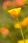 mrh_591
