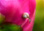 mrh_613