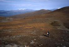 Towards Njulla