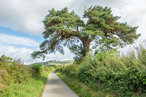 England 2019 England 2019